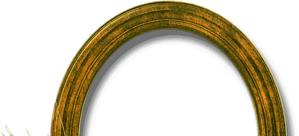 кольцо полу