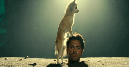 1366009700_gifs_06-3