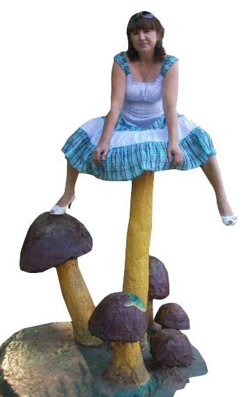 536
