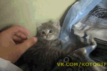 _predlagayut_porabotat_na_vyhodnyh_yapfiles.ru