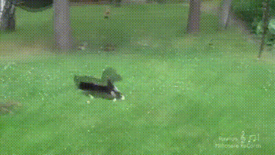 02_yapfiles.ru