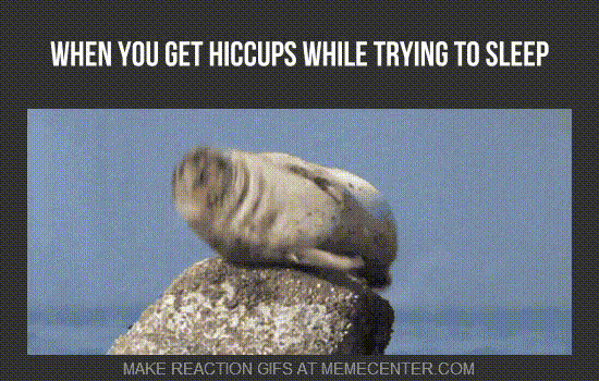 this-has-my-seal-of-approval_o_3675287