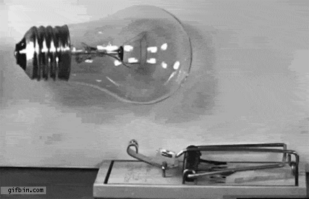 1300711738_lightbulb-vs-mouse-trap