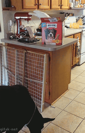 1408990200_473536528