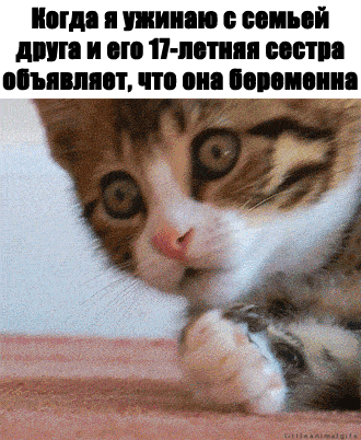 gif_f46ae809c99eb85faf1e97ba91dd1cb7