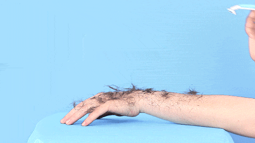 Антисексуальность