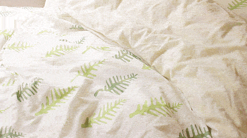 Гендерквир