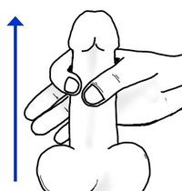 Для начинающих