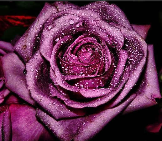 2014-08-20 18-15-40 Скриншот экрана