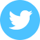 1365786160_twitter