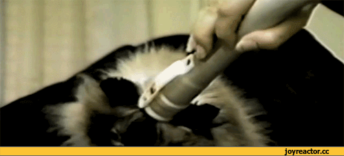 D0B3D0B8D184D0BAD0B8D0BAD0BED182D18DD0B6D0B8D0B2D0BDD0BED181D182D18CD0BCD0BED0B7D0B3D0BED181D0BED181