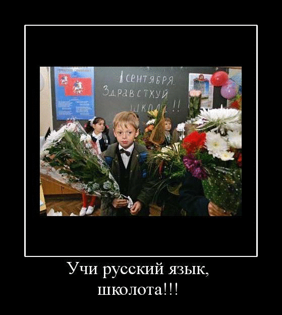 520728umPM9ZXw