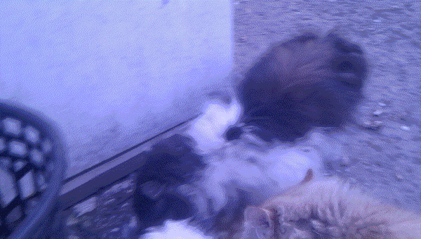 1409924326_286197826