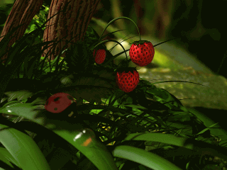 44890591_1244493215_Strawberry