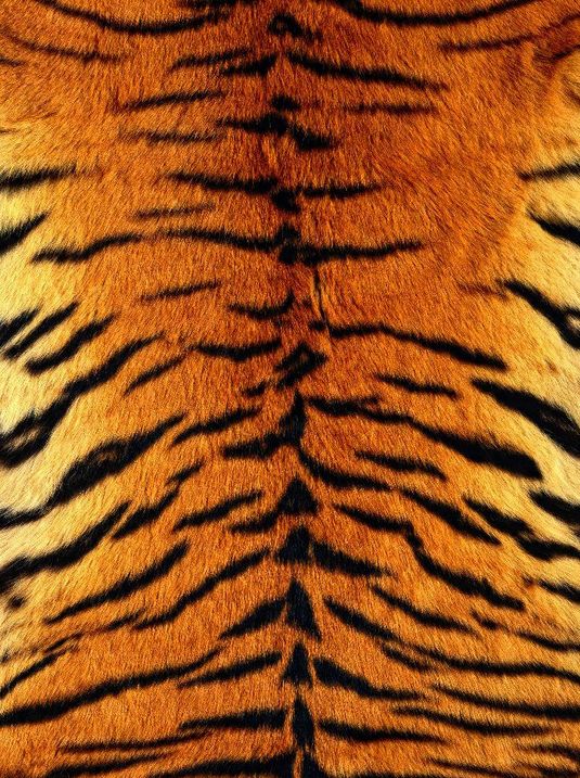 2014-09-02 09-22-08 Скриншот экрана