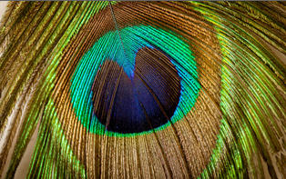 2014-09-09 01-40-25 Скриншот экрана