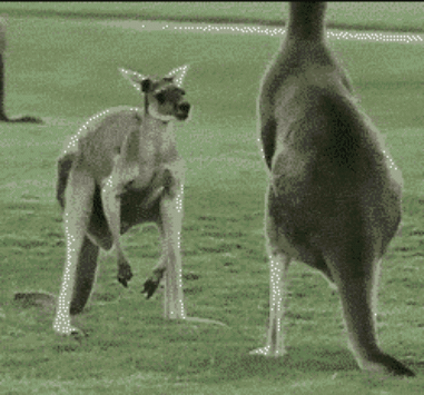 mysterlifterupinthisqwc7n