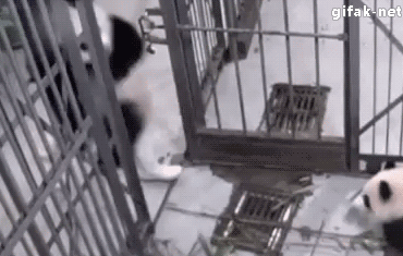 1410455944_476128659