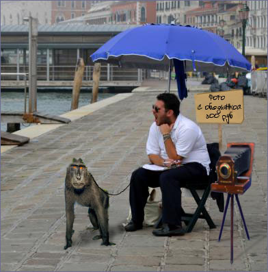 5620732_large_yapfiles