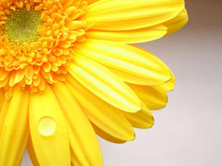 2014-09-13 12-35-37 Скриншот экрана