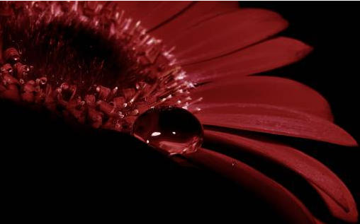 2014-09-13 12-43-46 Скриншот экрана