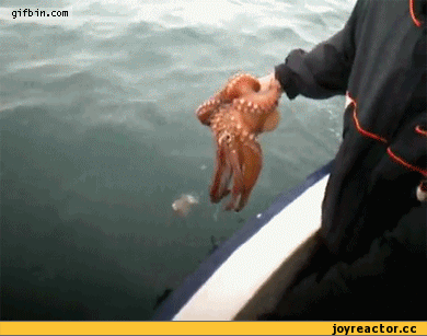 D0B3D0B8D184D0BAD0B8D0B0D0BAD183D0BBD0B0D0BED181D18CD0BCD0B8D0BDD0BED0B3488428