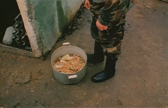 gifki-gifki-smeshnye-gifki-animashki_8040534913