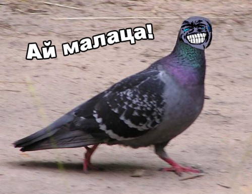 dBaT1GRBd4