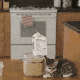 Работа в команде