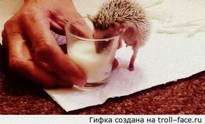 1393670737_1430401602