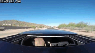 ы-ы-ы ..  ы-ы-ыы