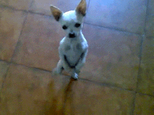 00ac124205_93.158.134.61_25540