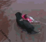 306a80def3_77.88.21.61_0329