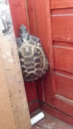 1411763877_1084084772