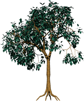 0_3ad5c_307ff0b2_XXXL