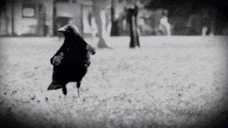 doc41150506_330879055