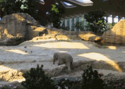 1412316675_488022471