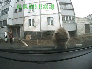 Можно я оставлю у вас свое боа-а-а...