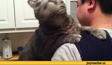 D0BAD0BED182D18DD0B6D0B8D0B2D0BDD0BED181D182D18CD0B3D0B8D184D0BAD0B8D0BCD0B8D0BBD0BED182D0B01573111