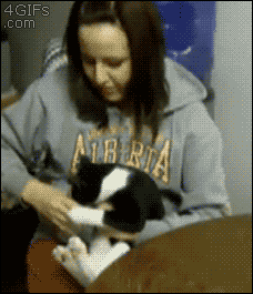 bf5ee6d4021cd88dea7db176d8b97b9b