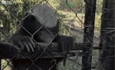 b078e3929435ad16b2aa5c11a071c1aa