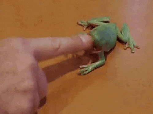1340872445_gifs_21
