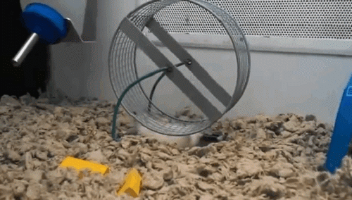 1413358672_1611364273