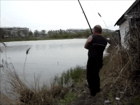 -котэ-рыбалка-644238