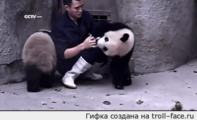 1413662030_512124479