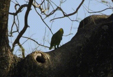 1413753562_1303579696