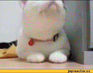 -сиськи-эротика-упс-810784