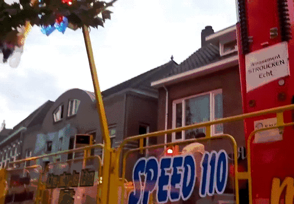 WickedScalyIrishredandwhitesetter