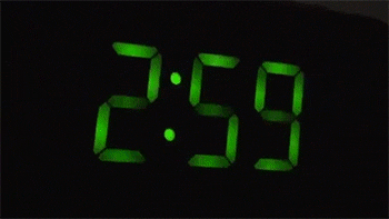 9гифки-котэ-живность-логика-1619042