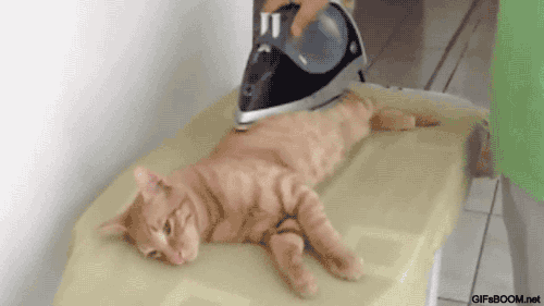 tumblr_ndvn7lgL6h1s02vreo3_500